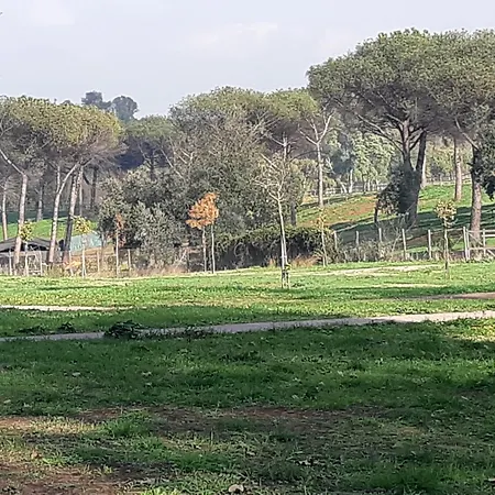 شقة Maison Accademia