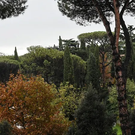 Maison Accademia